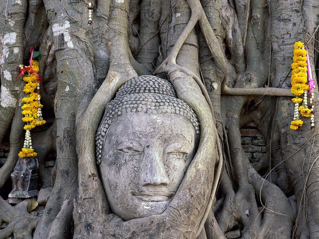 Buddha Face, Wat Mahathat, Ayutthaya, Thailand